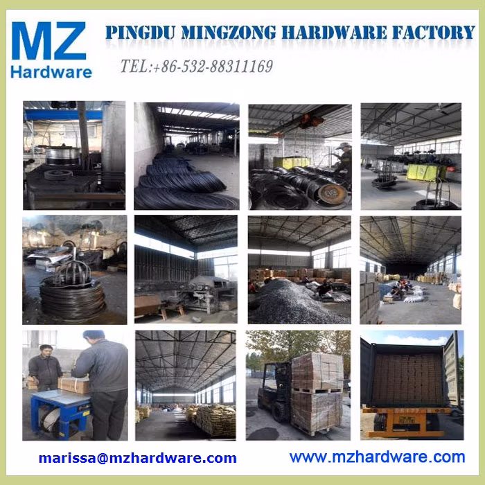 Black Concrete Steel Masonry Nail for Construction and Buliding