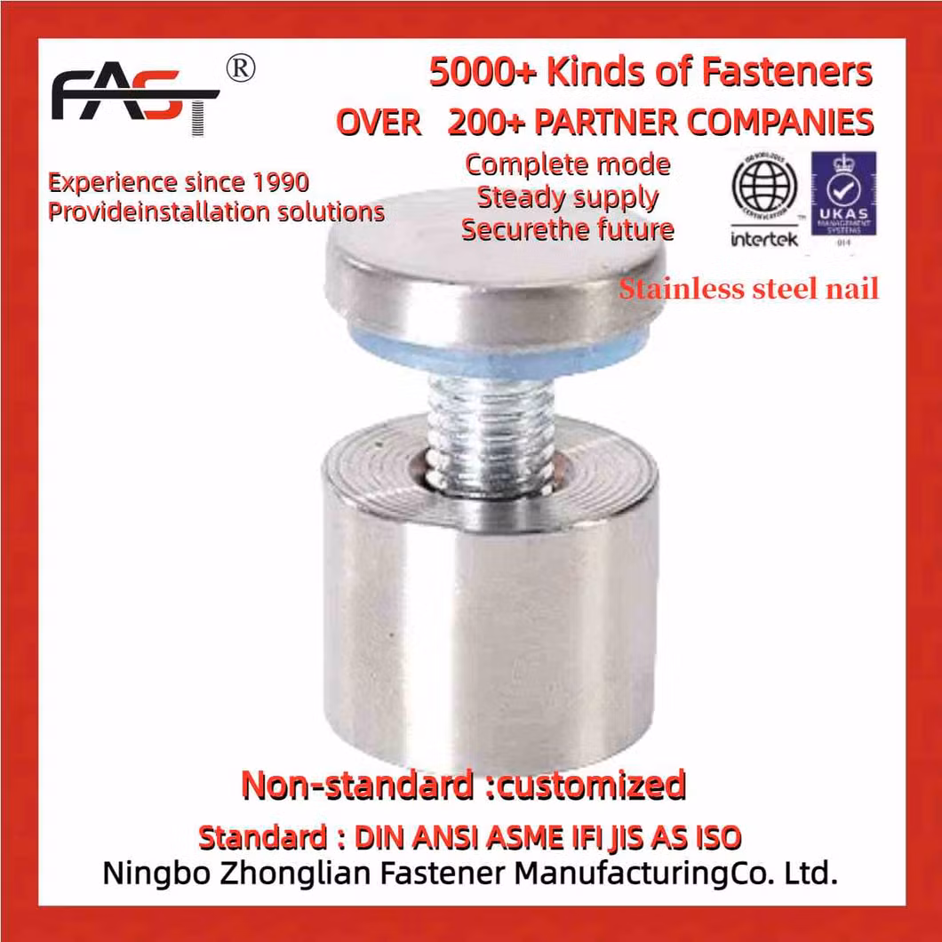 Professional-Grade Stainless Steel Nail for High-Impact Advertising