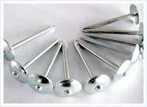 2.5kg/Box 8boxes/CTN Galvanized Umbrella Head Roofing Nails