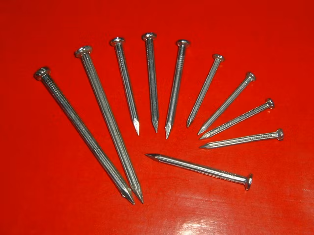 Concrete Nail (Spiral Splined, electro galvanized, white)