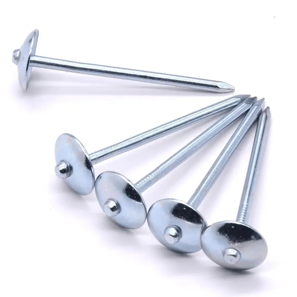 Q195 Q235 Umbrella Head Roofing Nail Smooth Shank Galvanized Nail