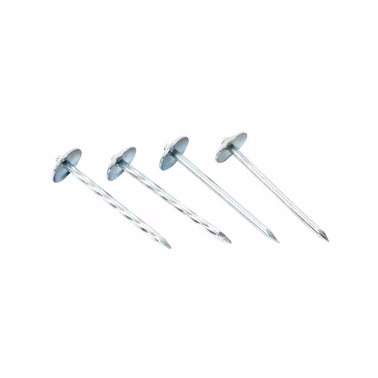 Galvanized Umbrella Head Roofing Building Decoration Renovation Nails
