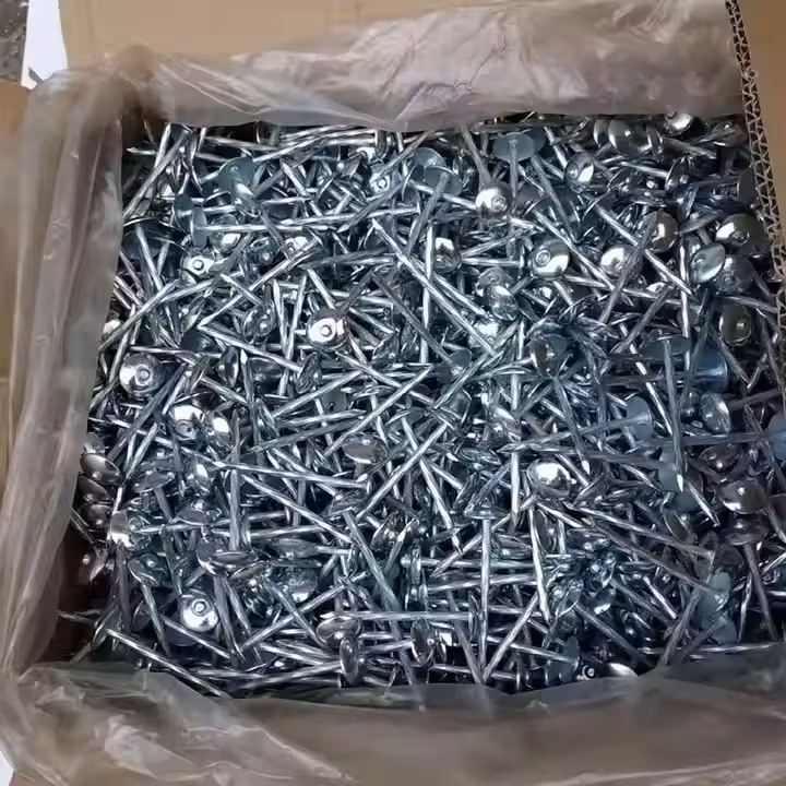Smooth Galvanized Corrugated Umbrella Roofing Nails for Roof