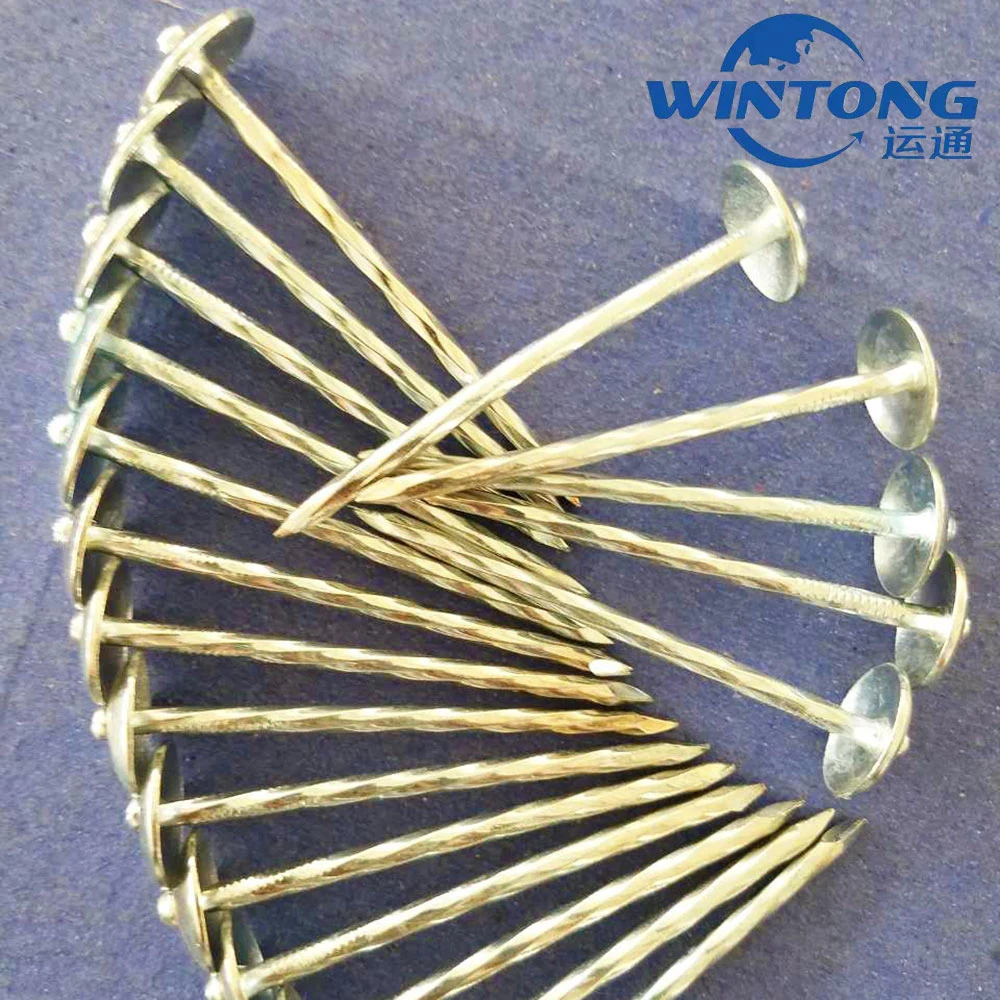 Ring / Q195 / Color Galvanized / Roofing Nails/Hot-DIP Galvanized /9bwg/Corrugated Nails