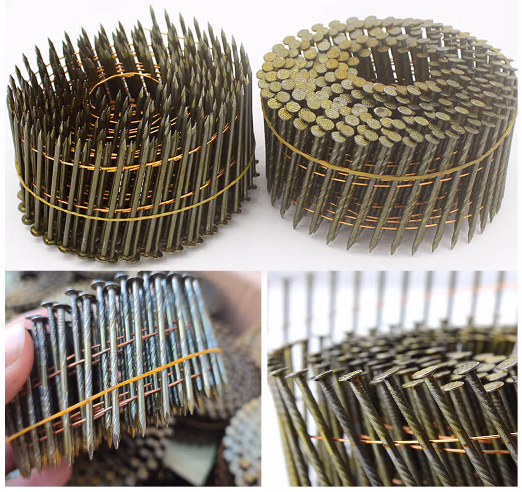 Galvanized Ring Shank Wire Collated Coil Nails 250PCS 300PCS