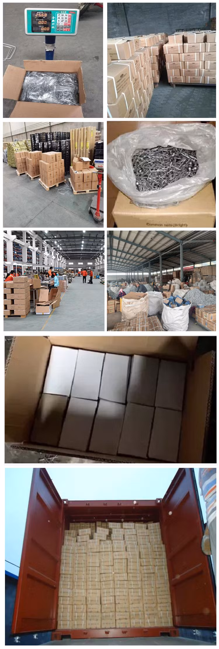 Common Wire Two Head Nails Polished with Low Price