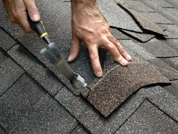 Smooth Shank Umbrella Roofing Nails
