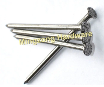 China Cheap Bright Common Wire Nail with Low Price