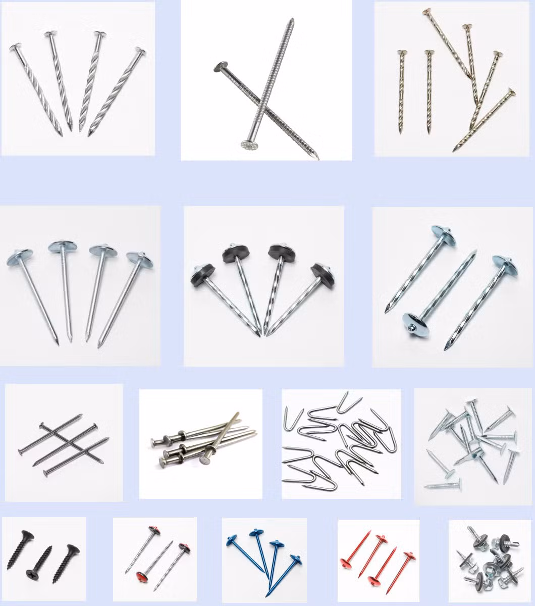 Duplex Head Nails Scaffolding Nails Double Head Nail
