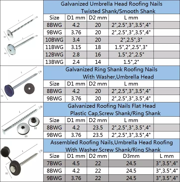 Umbrella Head Roofing Nail with Washer Cheap Price