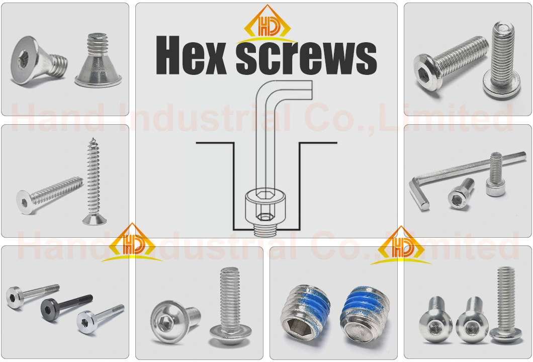 Stainless Steel 304 Type 17 #12 Square Socket Csk Head Wood Screw