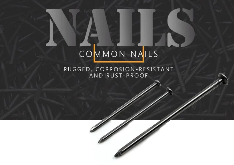 Iron Wires Nails Galvanized with Tapered Head Smooth 6&quot; Common Nails 3&quot;/4&quot;