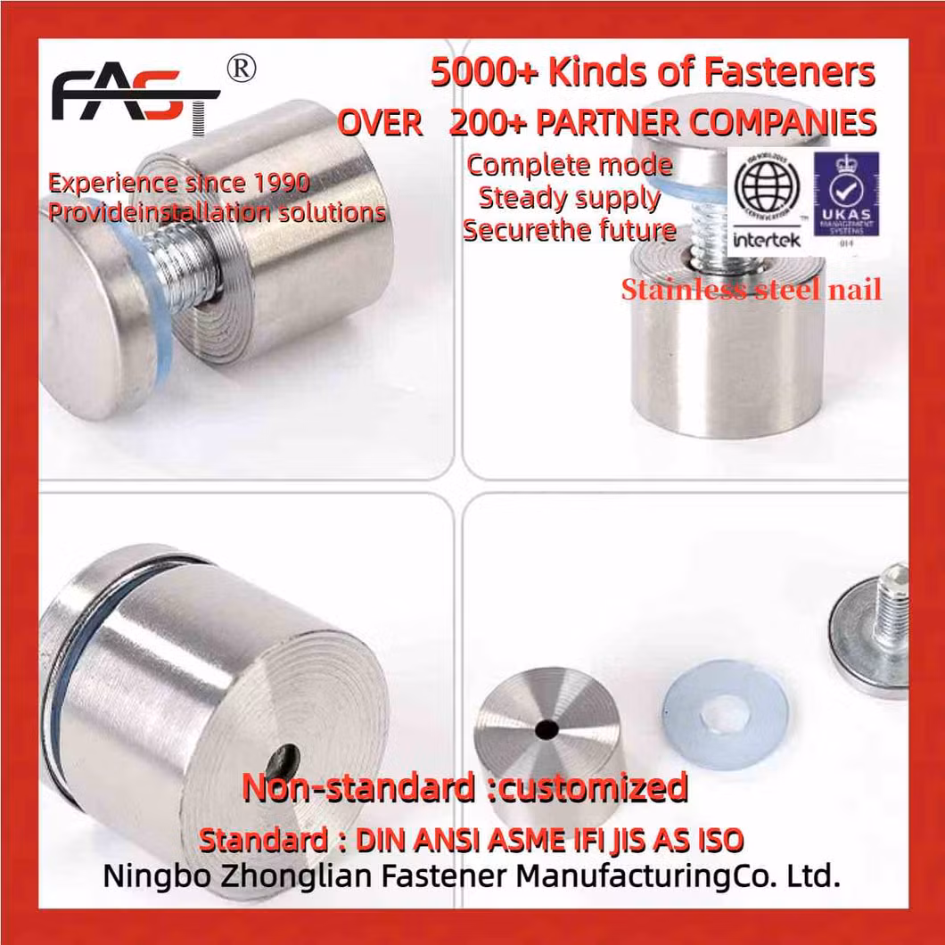 Professional-Grade Stainless Steel Nail for High-Impact Advertising