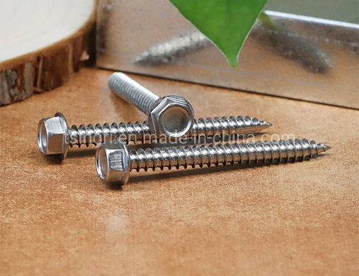 TGR/Tsingri Stainless Steel Hex Washer Type 17 Point Self-Tapping Screws