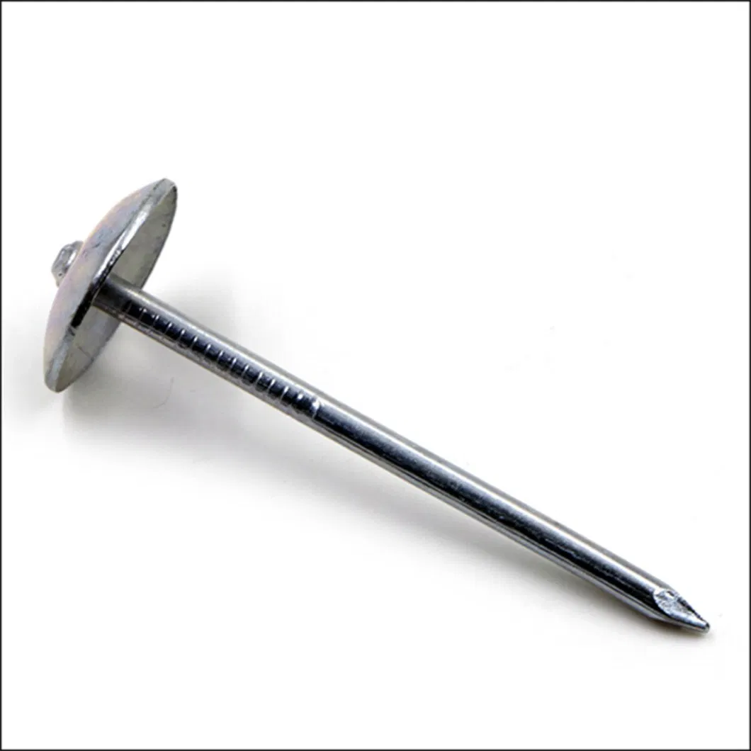 Bwg9 Bwg10 Smooth Shank or Twist Shank Galvanized Umbrella Head Roofing Nail