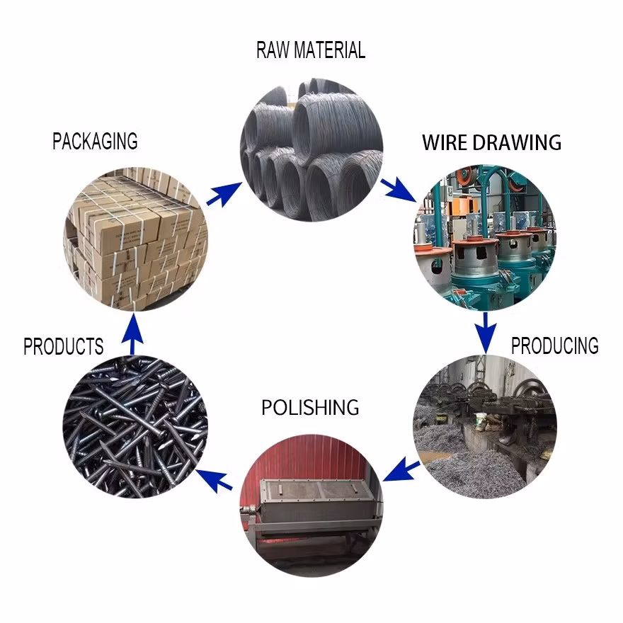 Copper Nail for Boat Hot Dipped Galvanised Square Boat Nails