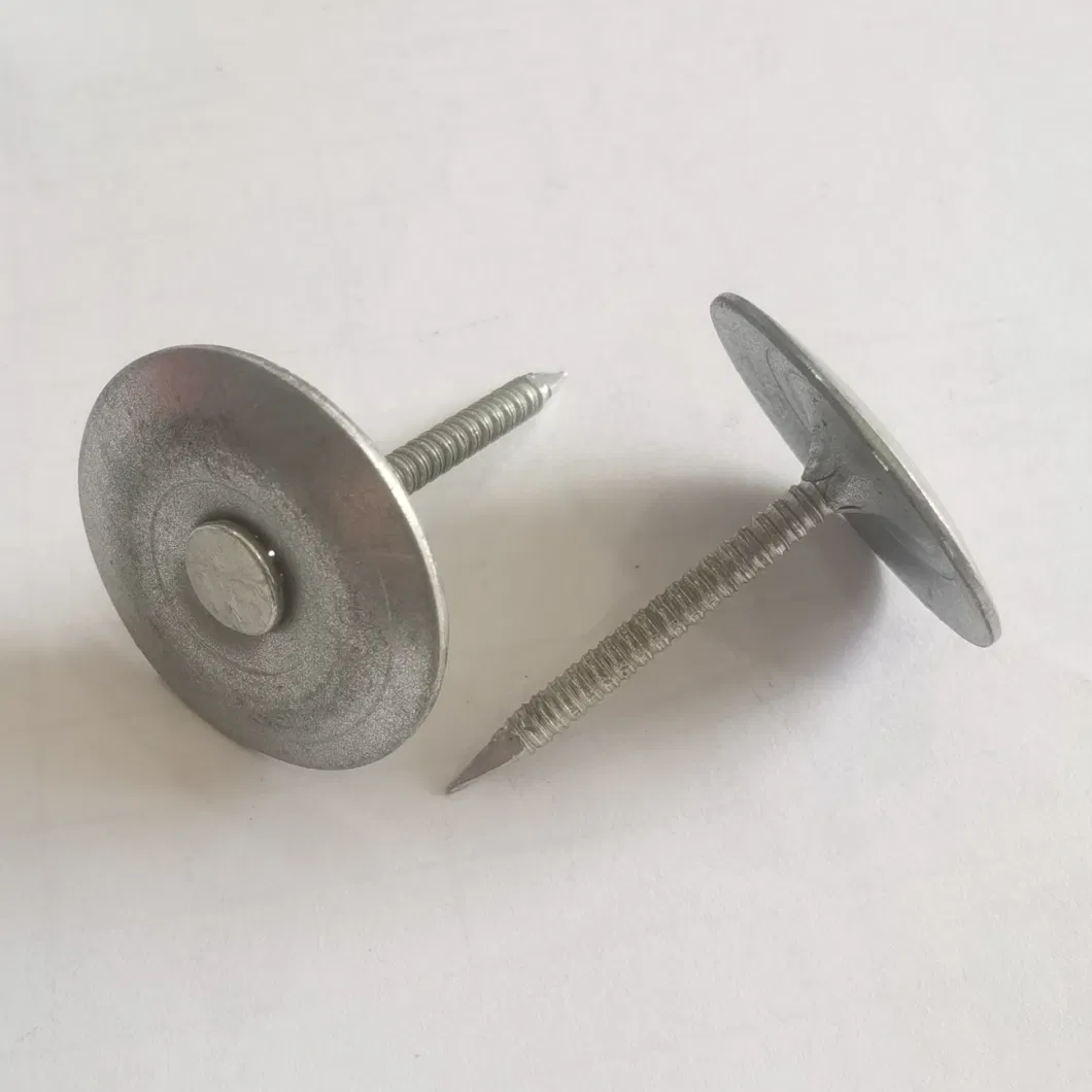 3.0X25mm Galvanized Umbrella Head Roofing Nail with Smooth, Twisted Shank