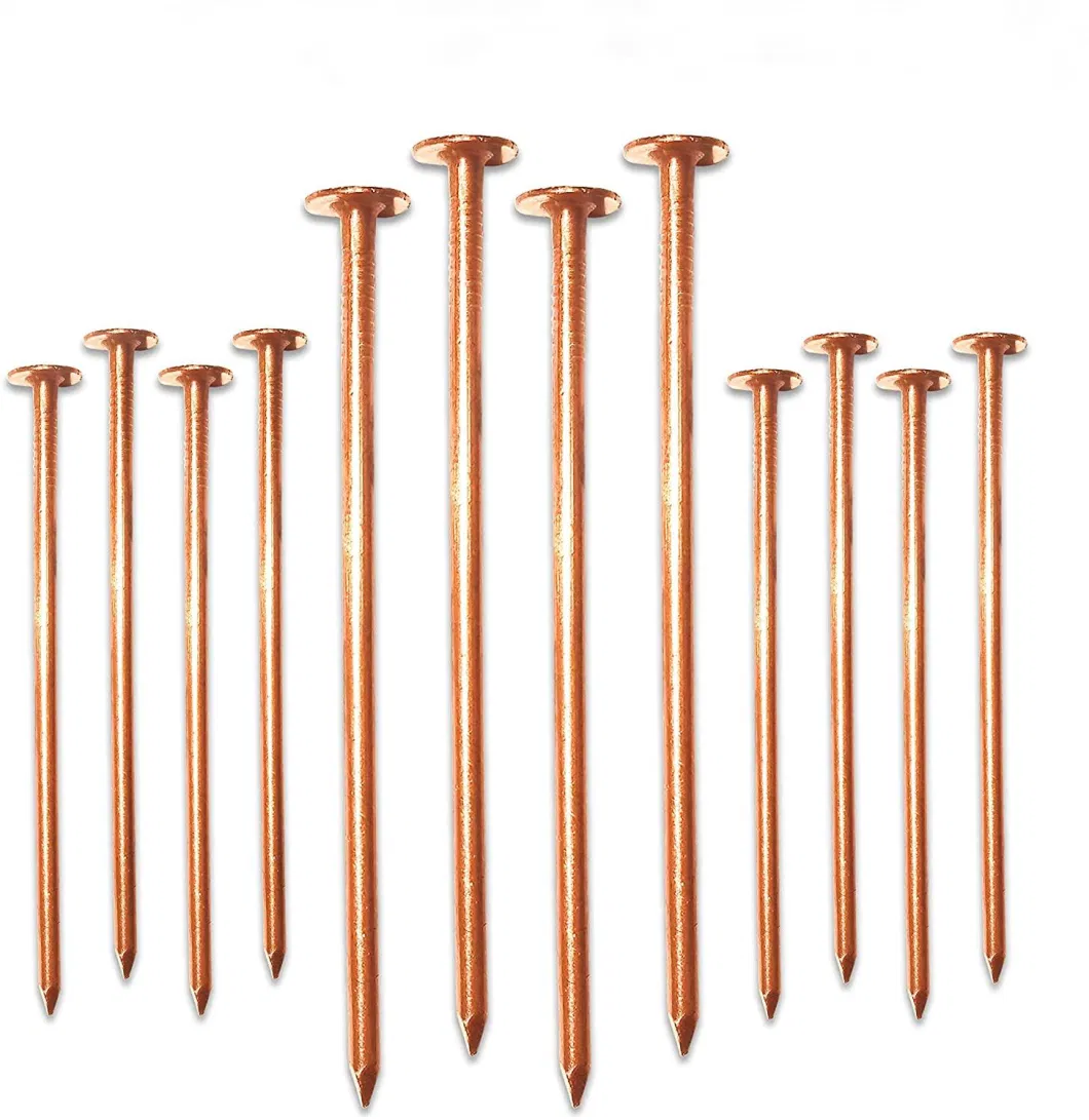 Best Selling Common Nails with 3/4 -5 Inch 99.99% Copper Nails