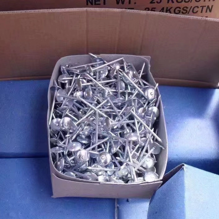 Q195 Hot Dipped Galvanized Umbrella Roofing Nails with Rubber Washer