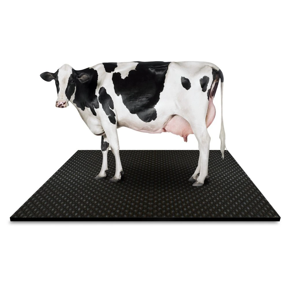 Active-Power Industries Rubber Stable Matting Suppliers Cow Rubber Flooring Mat China High Density Comfortable Soft Sponge and Non-Slip Rubber Mat