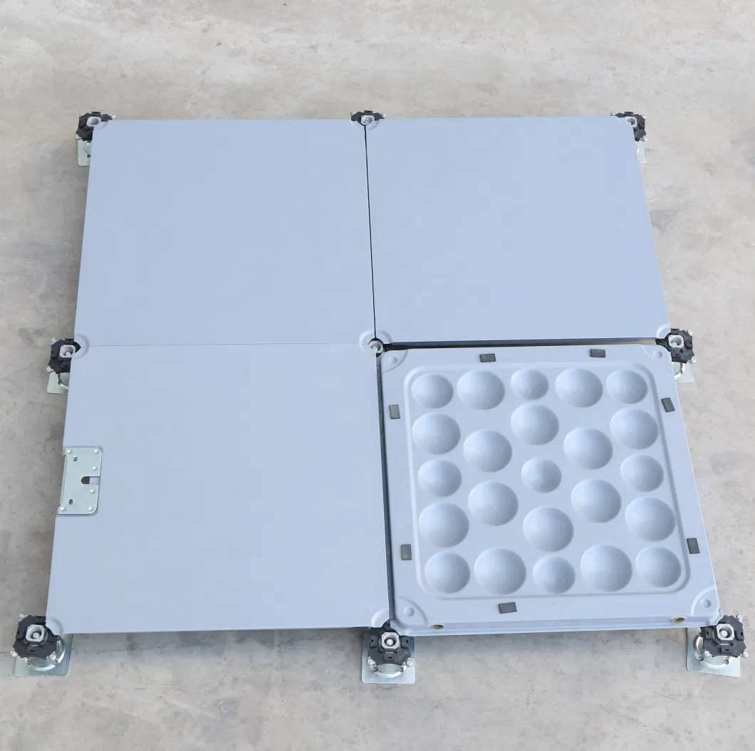 Plain Fan Standard Steel Grating Floor of Laboratory