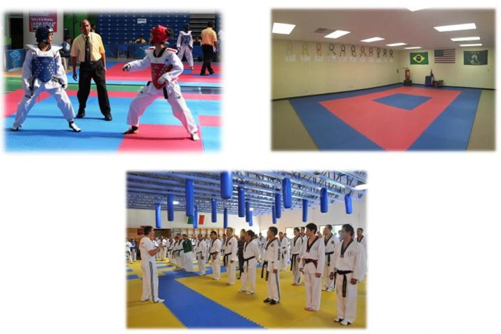 China Factory Wkf Karate Mats 3cm Thickness Blue Black Non-Slip Gym Tatami Mat Five Stripes Taekwondo Material Arts Judo Mat for Sale