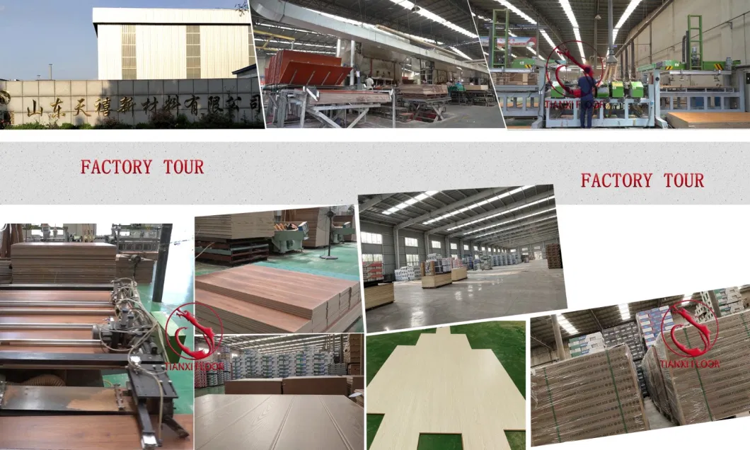 China Factory Popular Color Spc Flooring PVC Floor