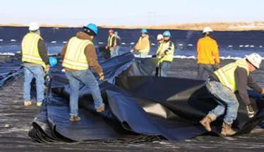 Geomembrane Pond Liner for Shrimp and Fish Farm PVC Swimming Pool Material HDPE Liner