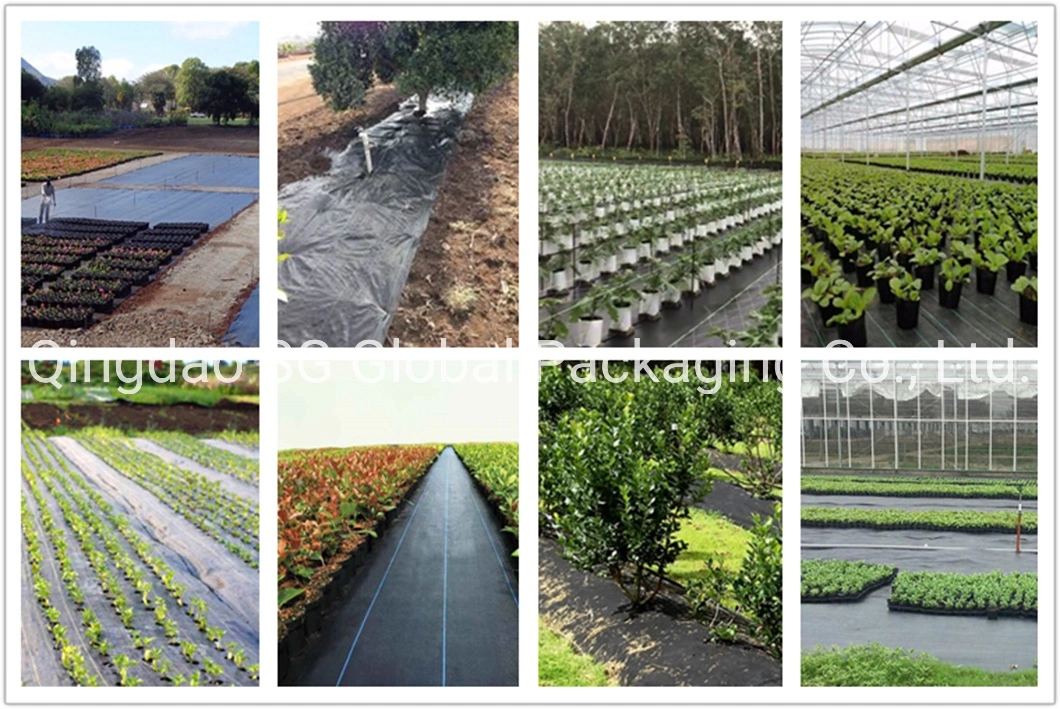 SGS China Manufacturers Plastic Anti UV Black PP Woven Heavy Duty Geotextile Agriculture Ground Cover Garden Landscape Block Barrier Fabric Weed Control Mat