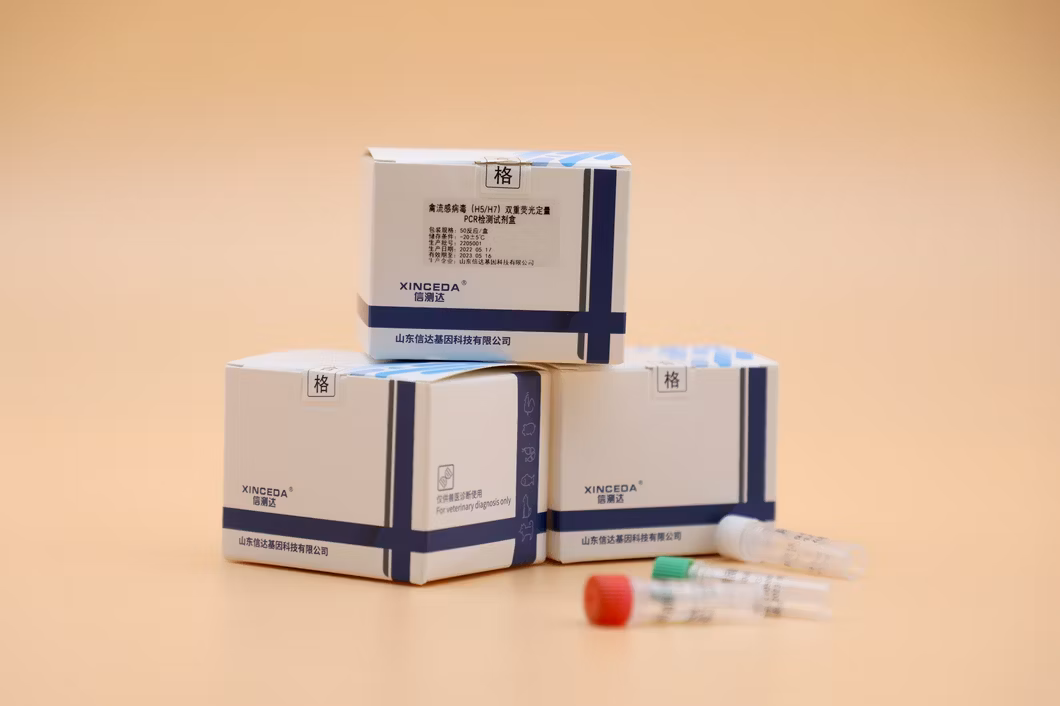 Real-Time PCR Detection Kit for Porcine Circovirus Type 3