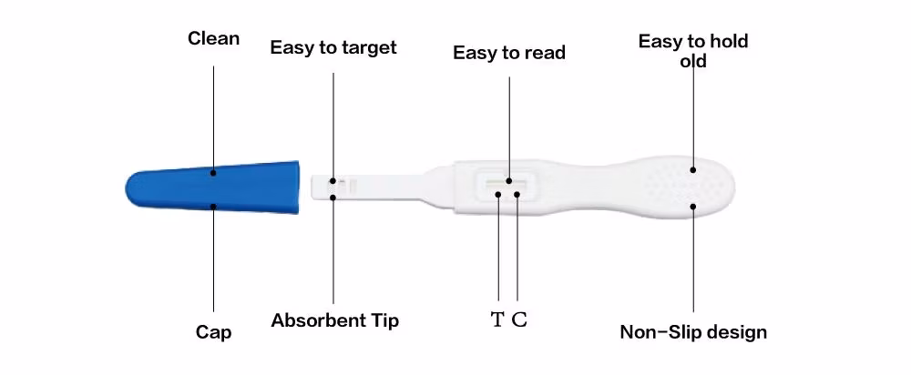 ABS, Pregnancy Test Rapid Strep Test Lateral Flow Rapid Test Cassette