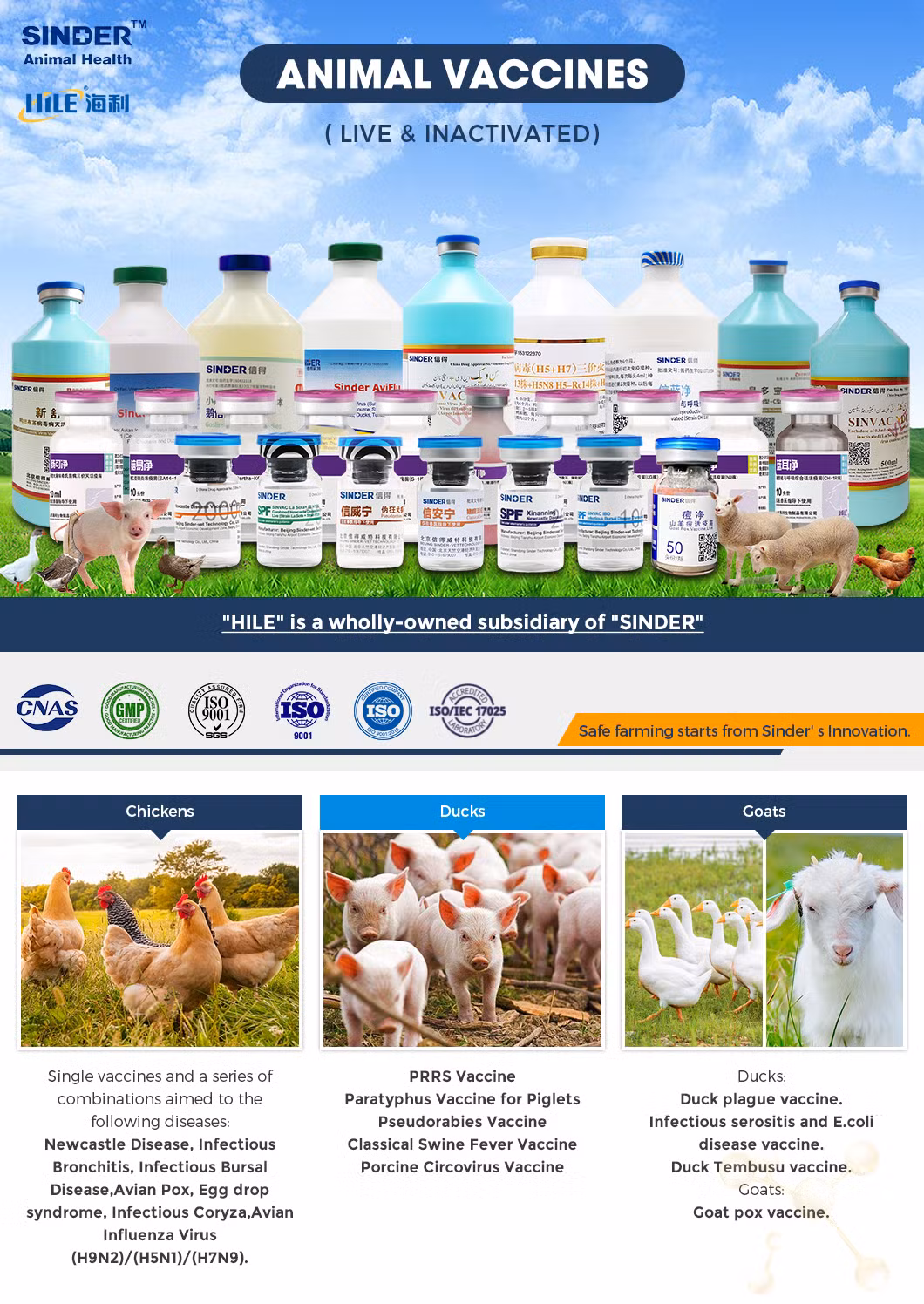 Real-Time PCR Detection Kit for Porcine Circovirus Type 3