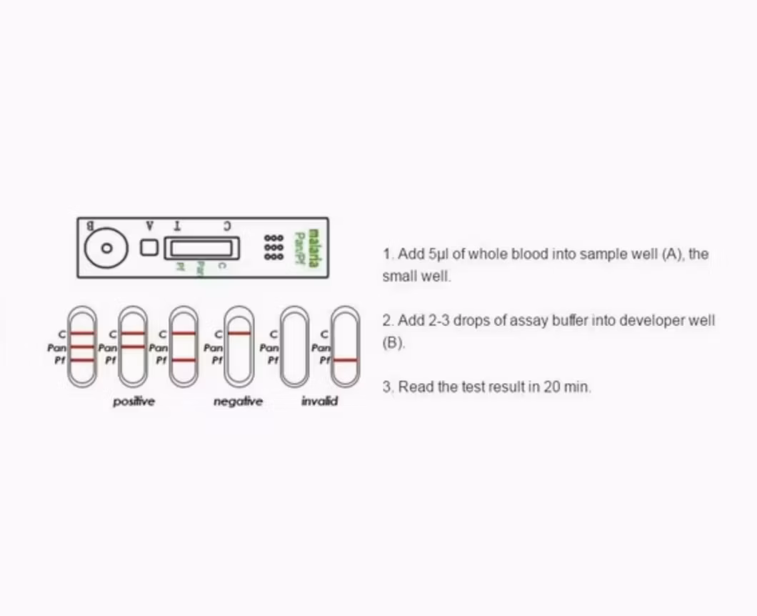Rapid Detection Kit Rapid Diagnostic Manufacturer Supplier Malaria PF PV Pan Test Kit