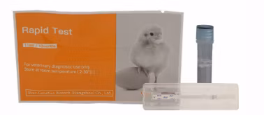 Avain Salmonella Spp. Antigen Veterinary Rapid Test Kit