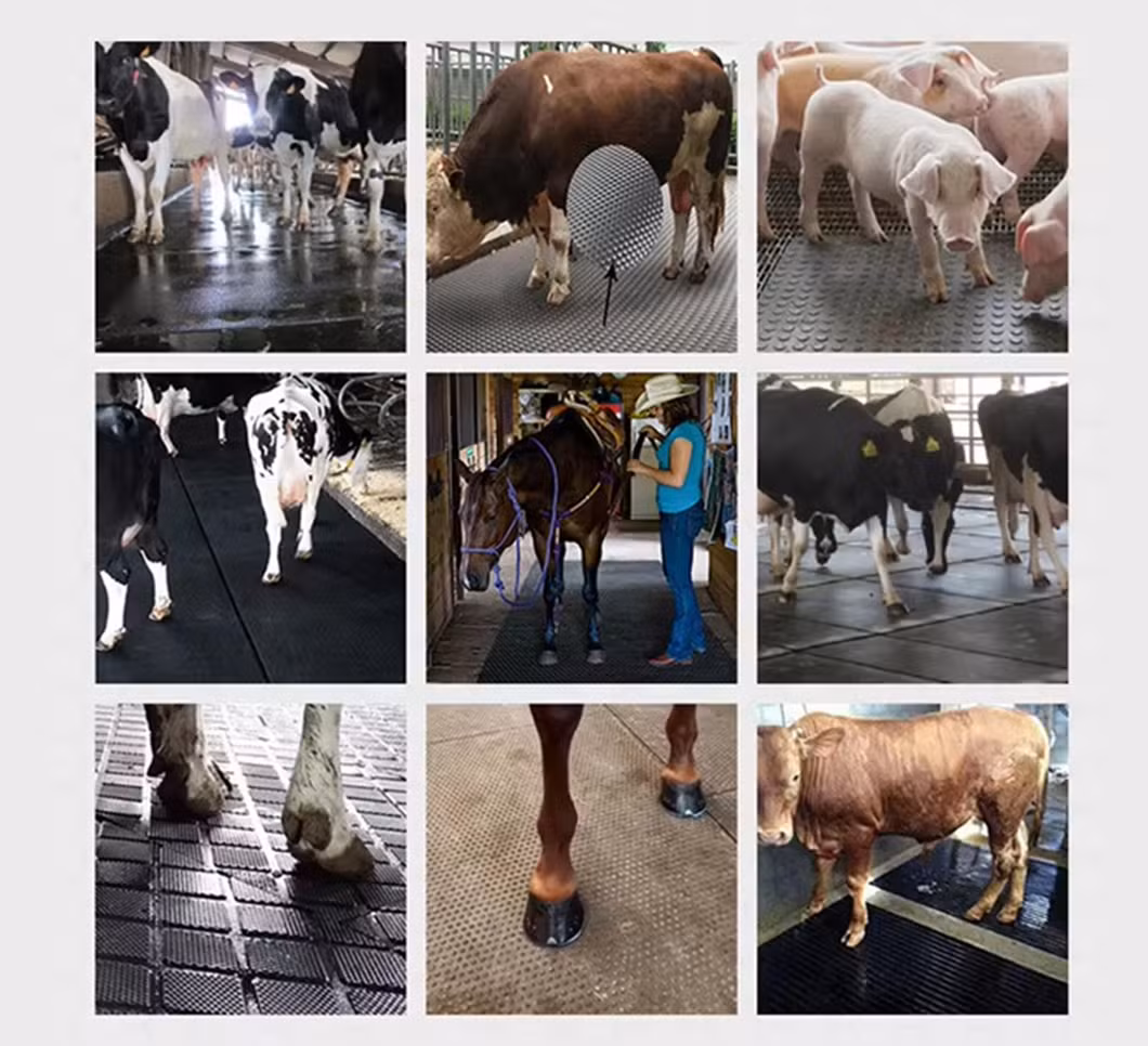 Comfort Stall Rubber Cow Mattress System Foam Bed Cow Mat for Dairy Cows