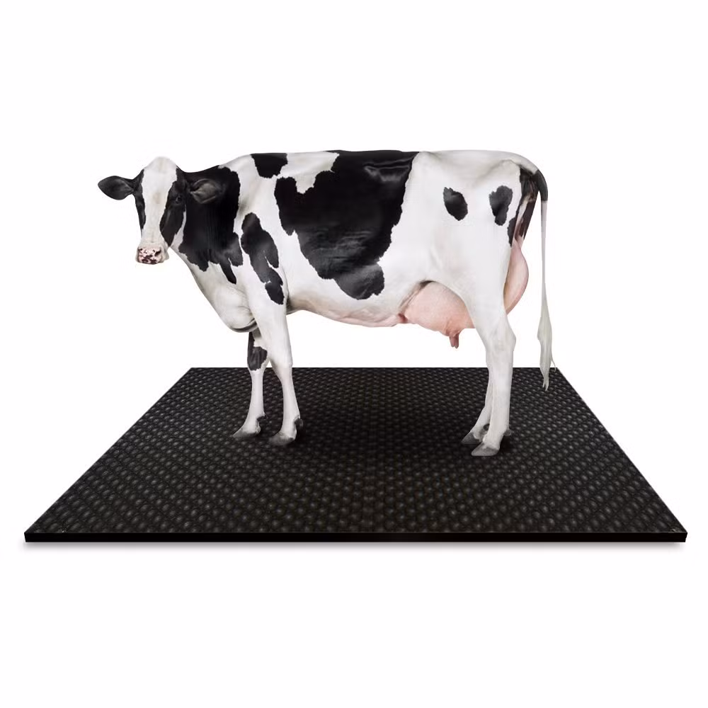 Active-Power Industries Animal Matting Wholesaler Rubber Cow Mat China Home Yard Cattle Rubber Mat for Cow and Cattle Sleeping