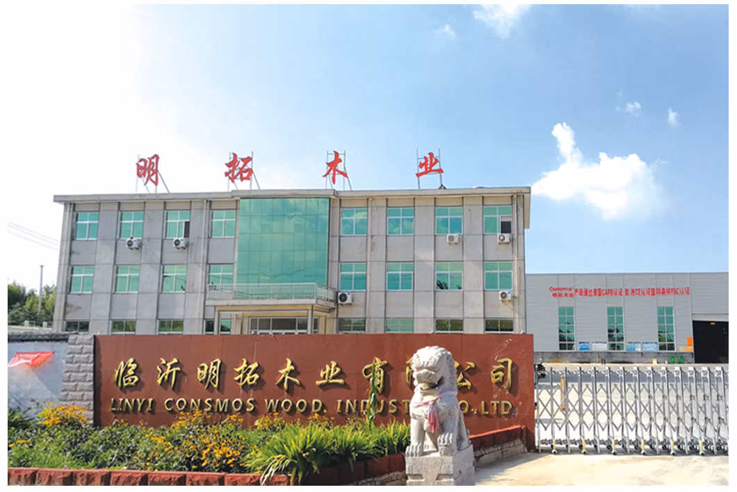MDF HDF Door Skin Melamine Moulded Plywood for Door From Linyi Consmos Plywood Manufacturer