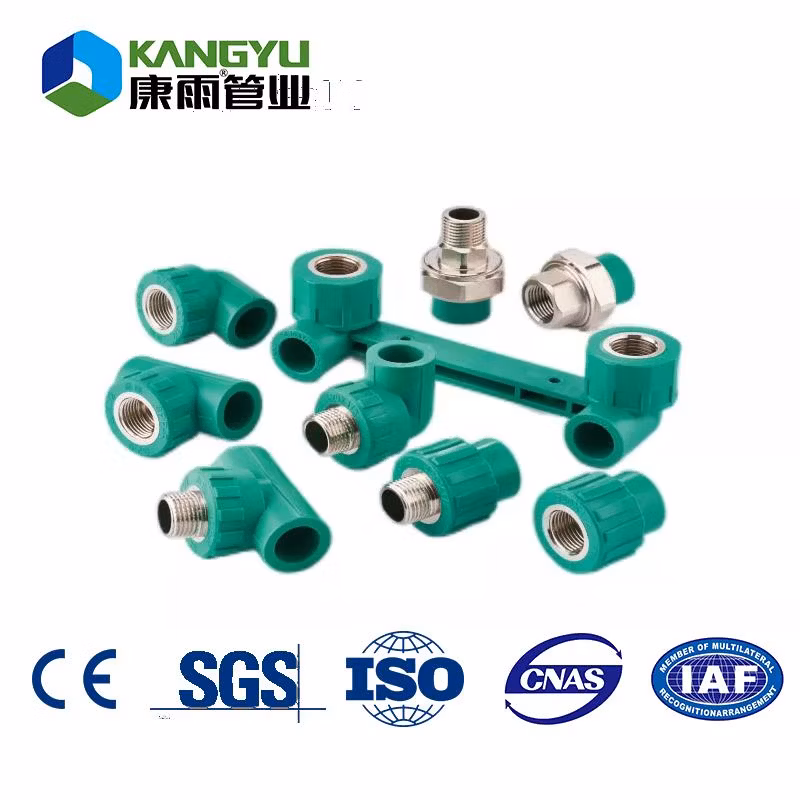 Competitive CE Approval Plastic PPR Waste Pipe Cap End