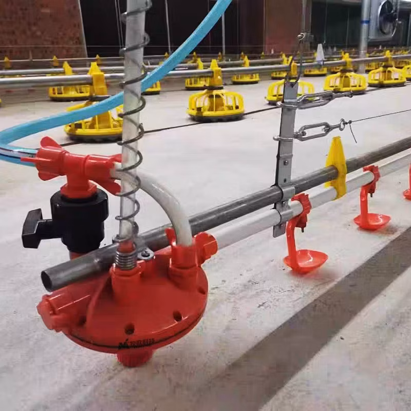 Poultry Farm Drinking Water Equipment Chicken Drinking Cup Nipple Drinker