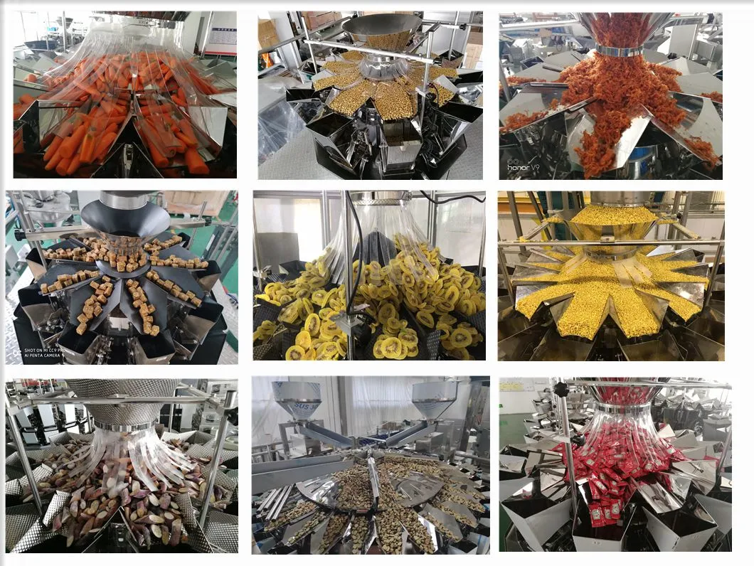 Automatic 10 Heads Multihead Weigher Ice Tube Weighing Machine