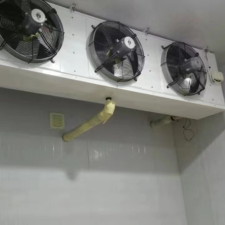 Air-Cooled Chiller for Cold Room Storage