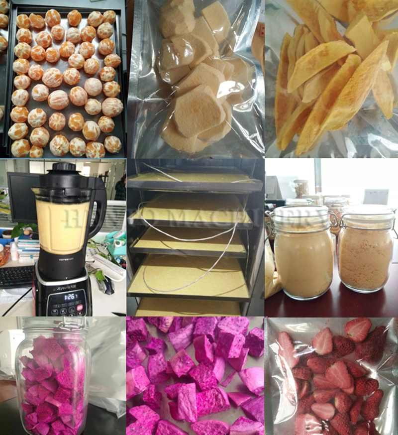 Professional Supplier Dry Freezing Fruit and Vegetable Production Line