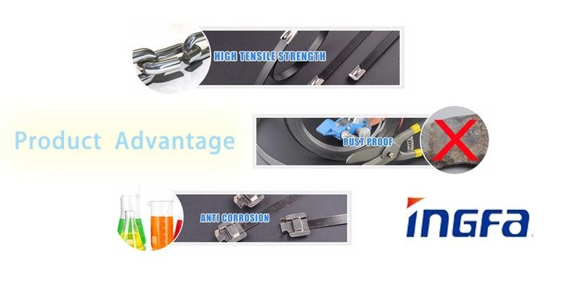 Fast Delivery Stainless Steel Banding Strap