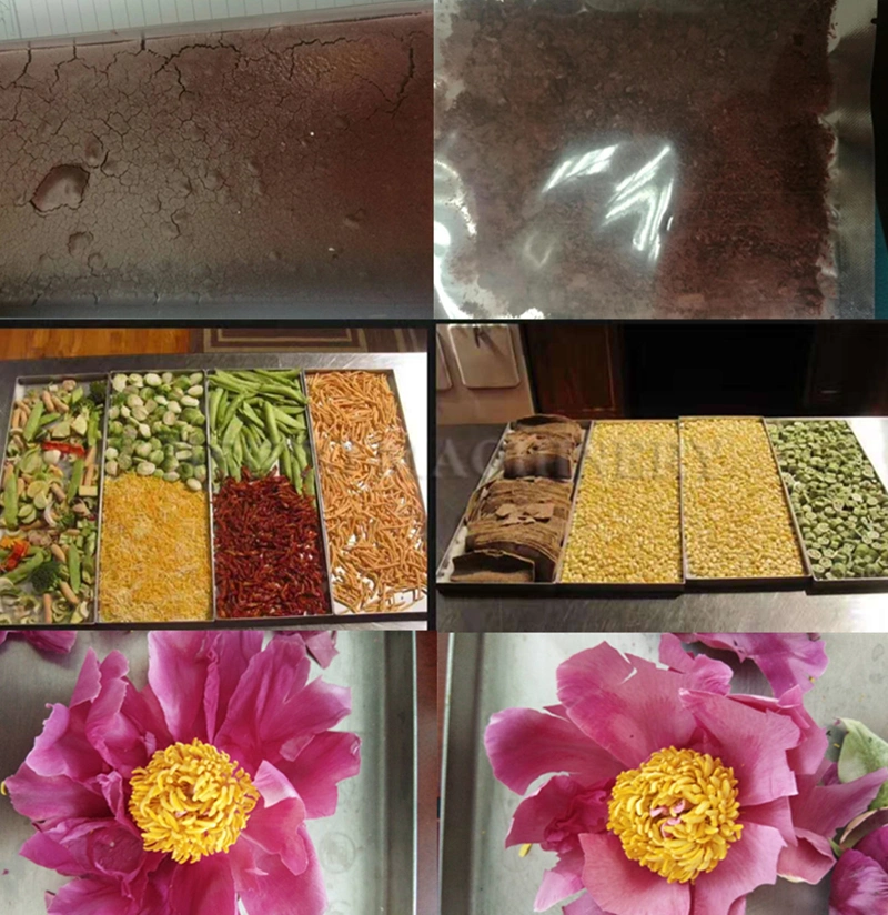 High Efficiency Freeze Dried Fruits and Vegetables Maker