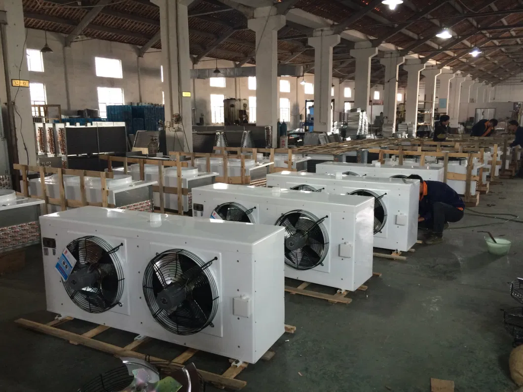 Cold Room Storage Evaporator of Big Dimension 12HP