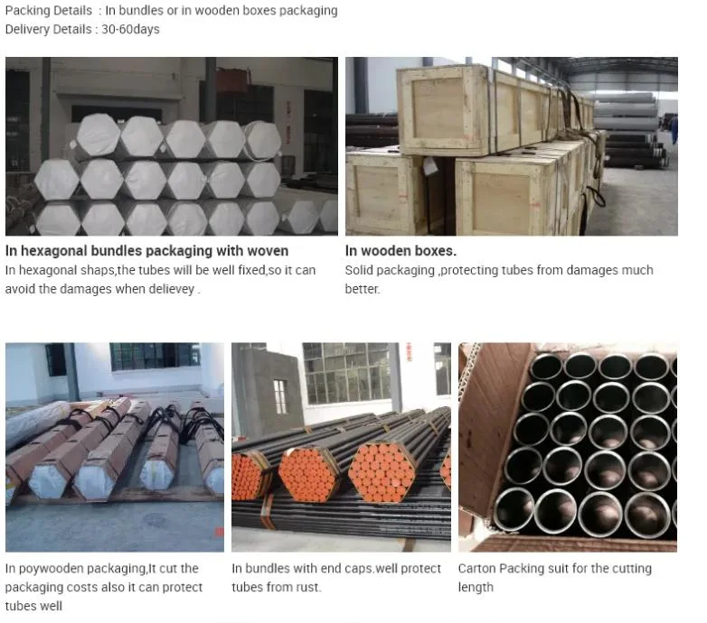 Small Bore Tubing API 5CT Seamless Petroleum Steel Tubing for Oil/Water Well Drill/Geological Pipe