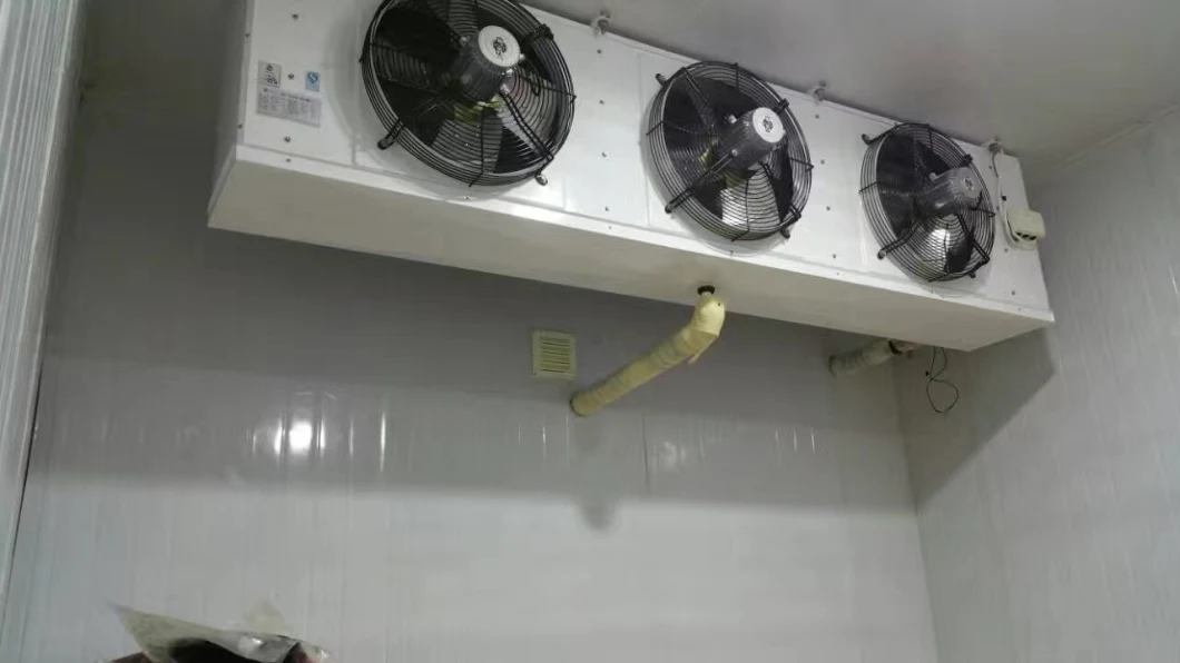 Air-Cooled Chiller for Cold Room Storage