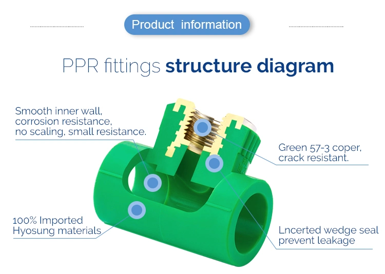 Ifan PPR Pipe Pn25 Copper Thread Female PPR Socket Fitting for Pipe