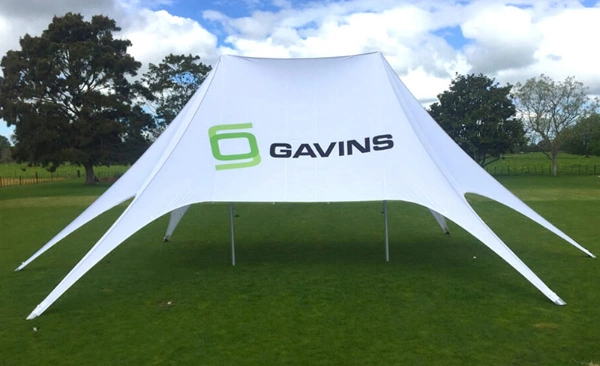 Professional OEM Aluminum Tent Black Poles Folding Canopy Maquee Tent/Advertising Event POP up Gazebo Tent, Dome Tent, Inflatable Tube Tent, Star &amp; Spider Tent