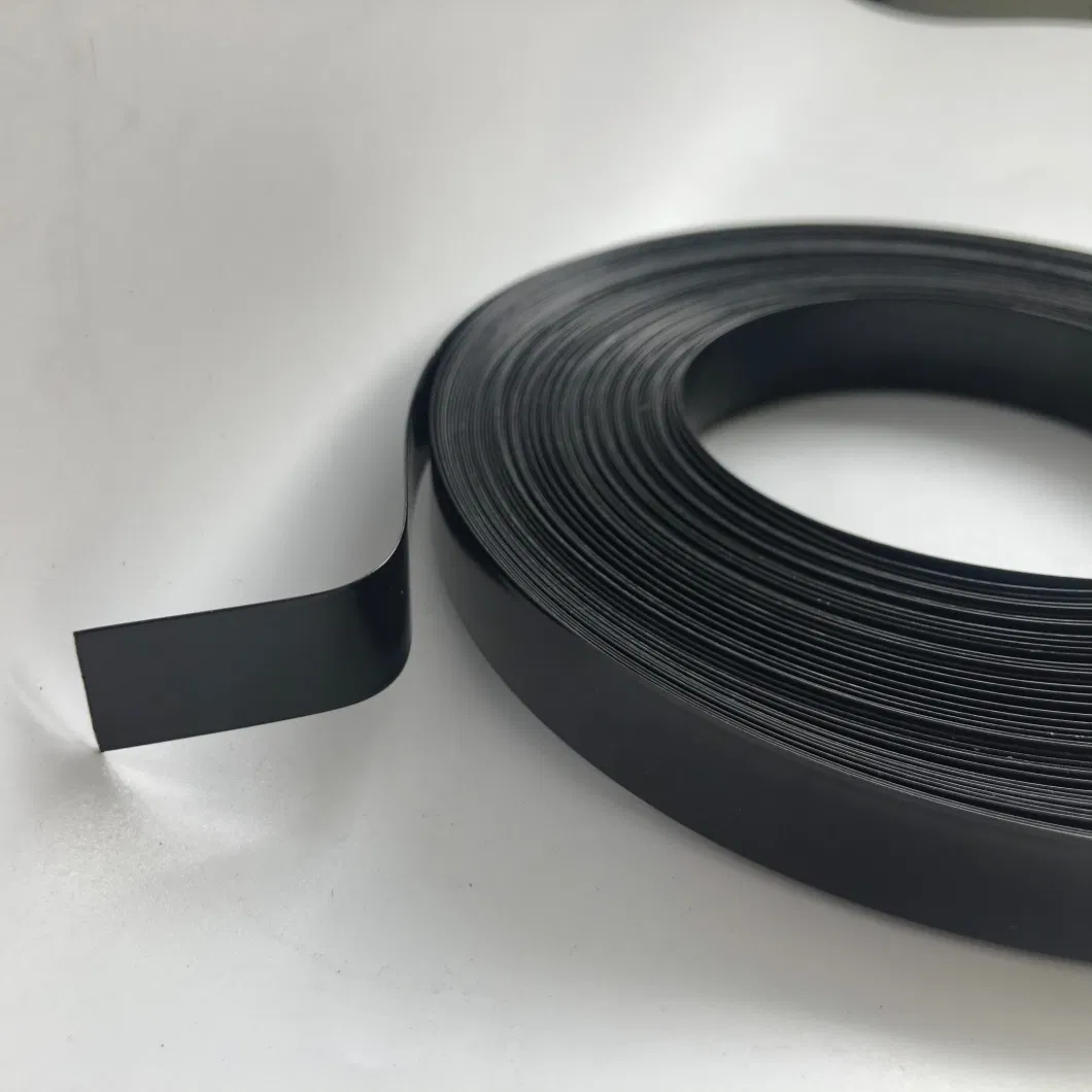 Stainless Steel Banding Strap-Epoxy Coated Type